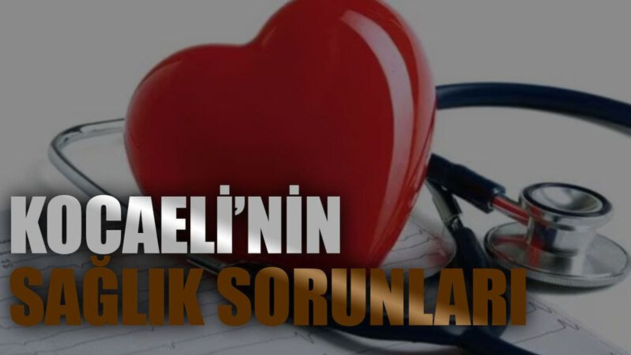 Kocaeli’nin sağlık sorunları