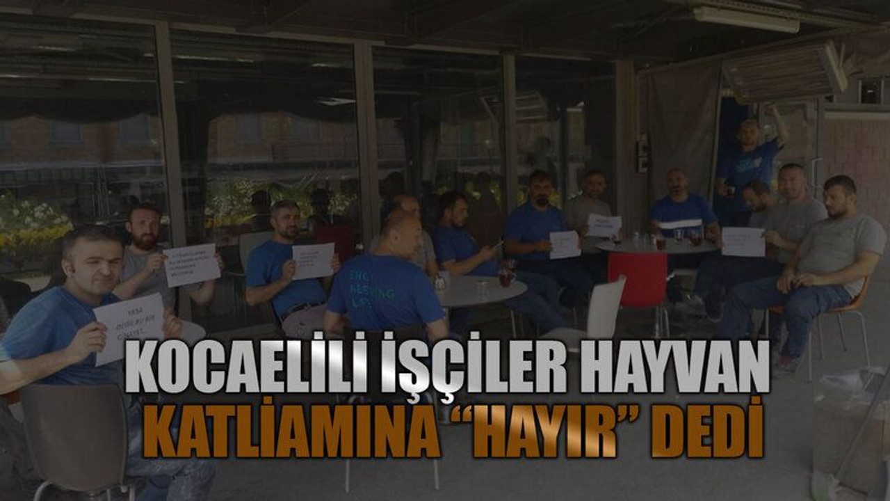 Kocaelili işçiler hayvan katliamına “hayır” dedi