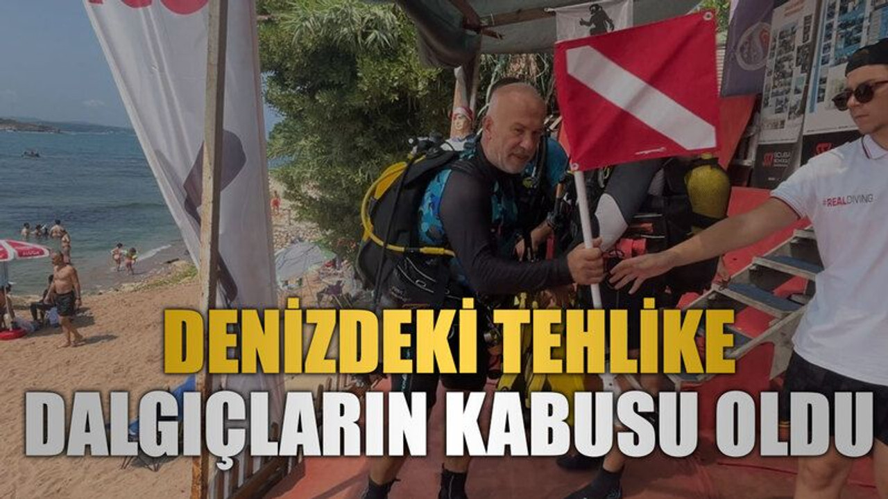 Denizdeki tehlike dalgıçların kabusu oldu