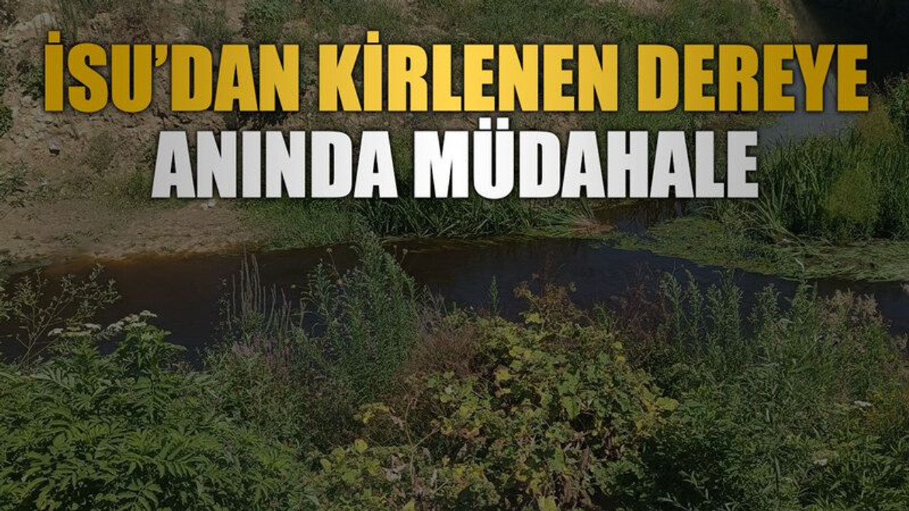 İSU’dan kirlenen dereye anında müdahale