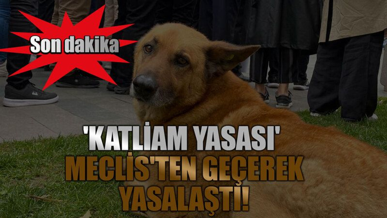 'Katliam yasası' Meclis'ten geçerek yasalaştı!