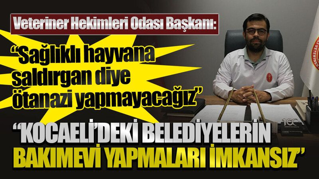 Veteriner Hekimleri Odası Başkanı Mehmet Bostancı: “Sağlıklı hayvana saldırgan diye ötanazi yapmayacağız”