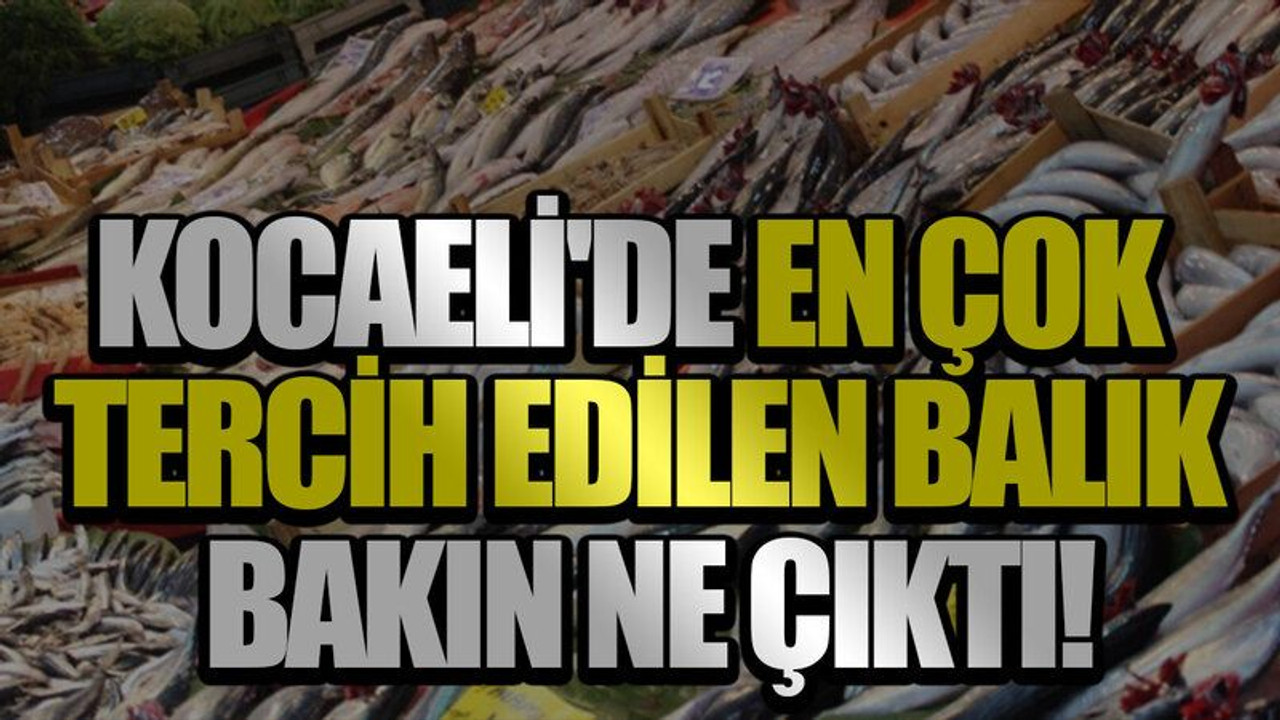 Kocaeli'de en çok tercih edilen balık bakın ne çıktı!