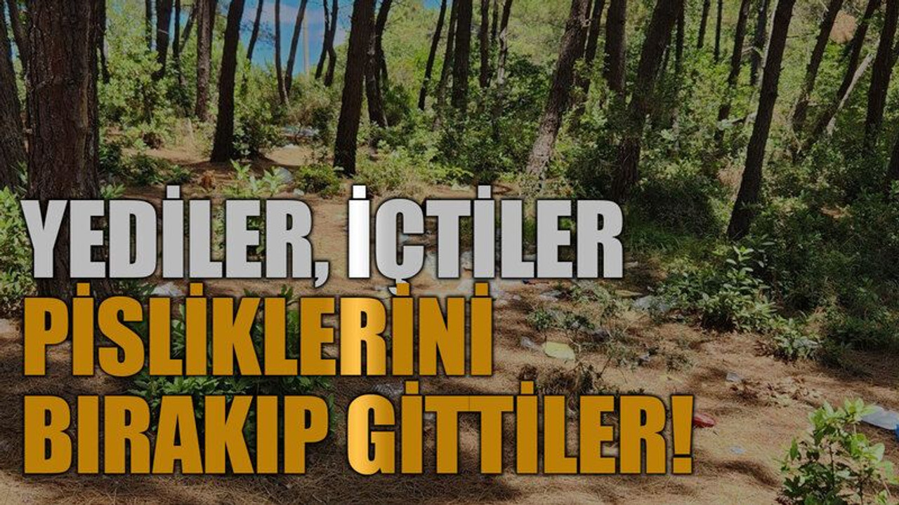 Yediler, içtiler, pisliklerini bırakıp gittiler!
