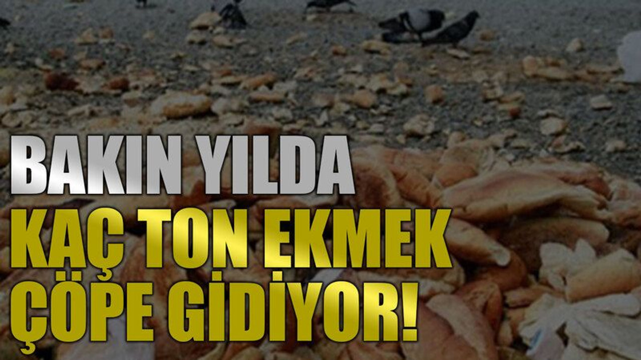 Bakın yılda kaç ton ekmek çöpe gidiyor