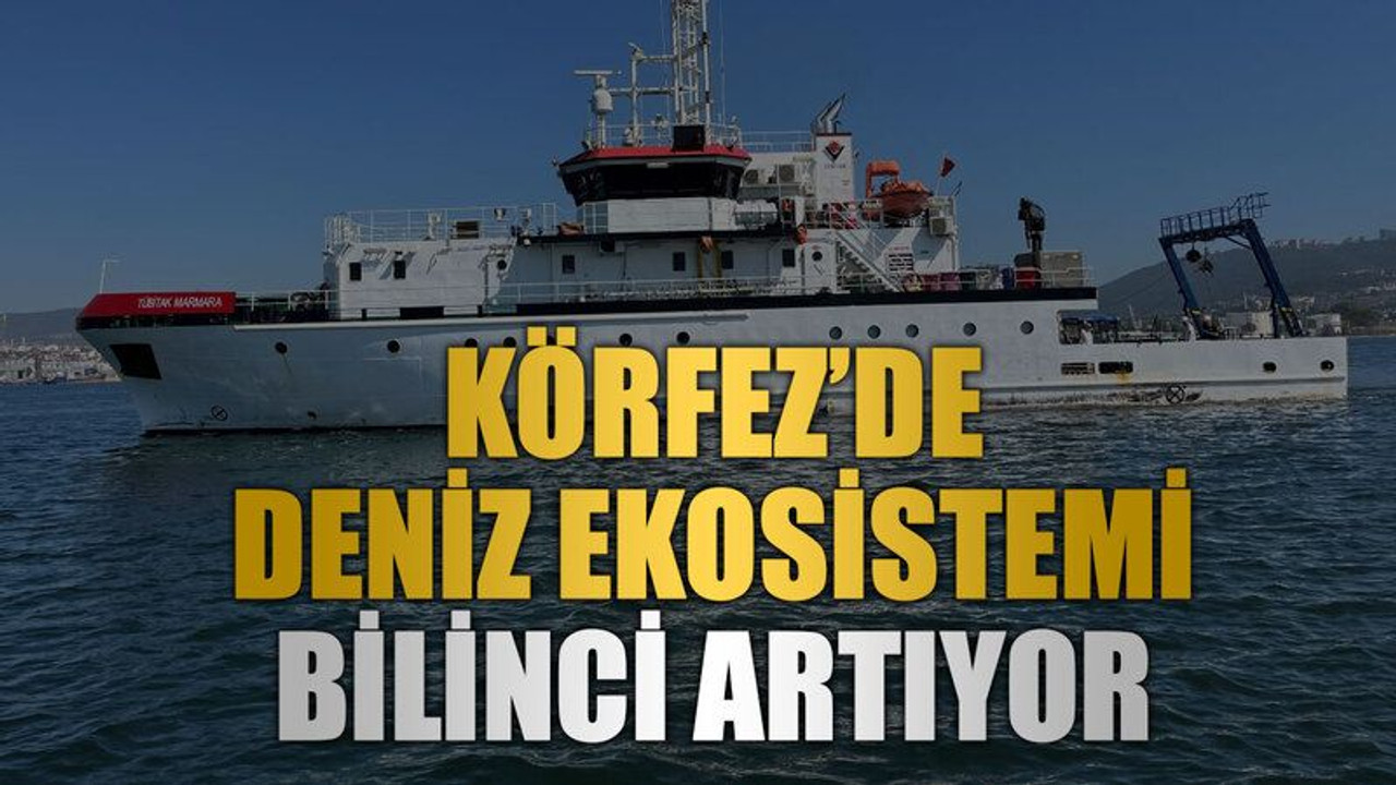 Körfez’de deniz ekosistemi bilinci artıyor