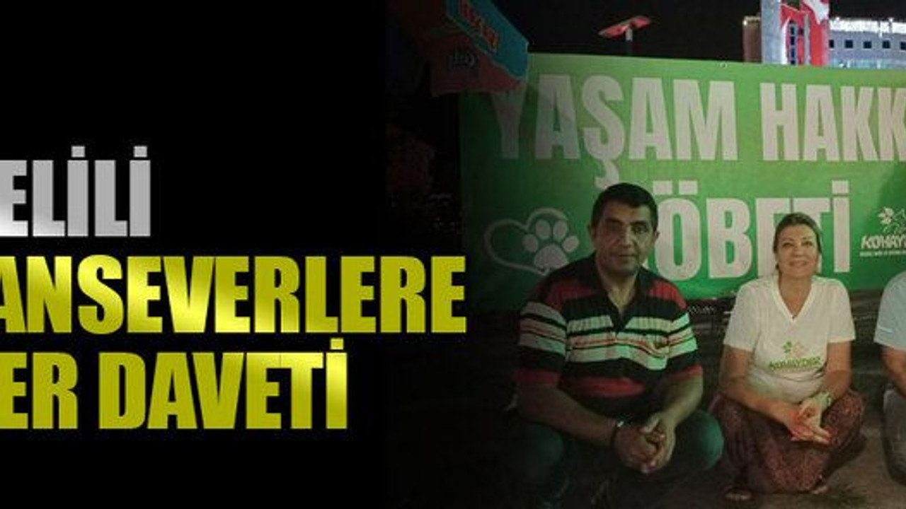 Kocaelili hayvanseverlere konser daveti