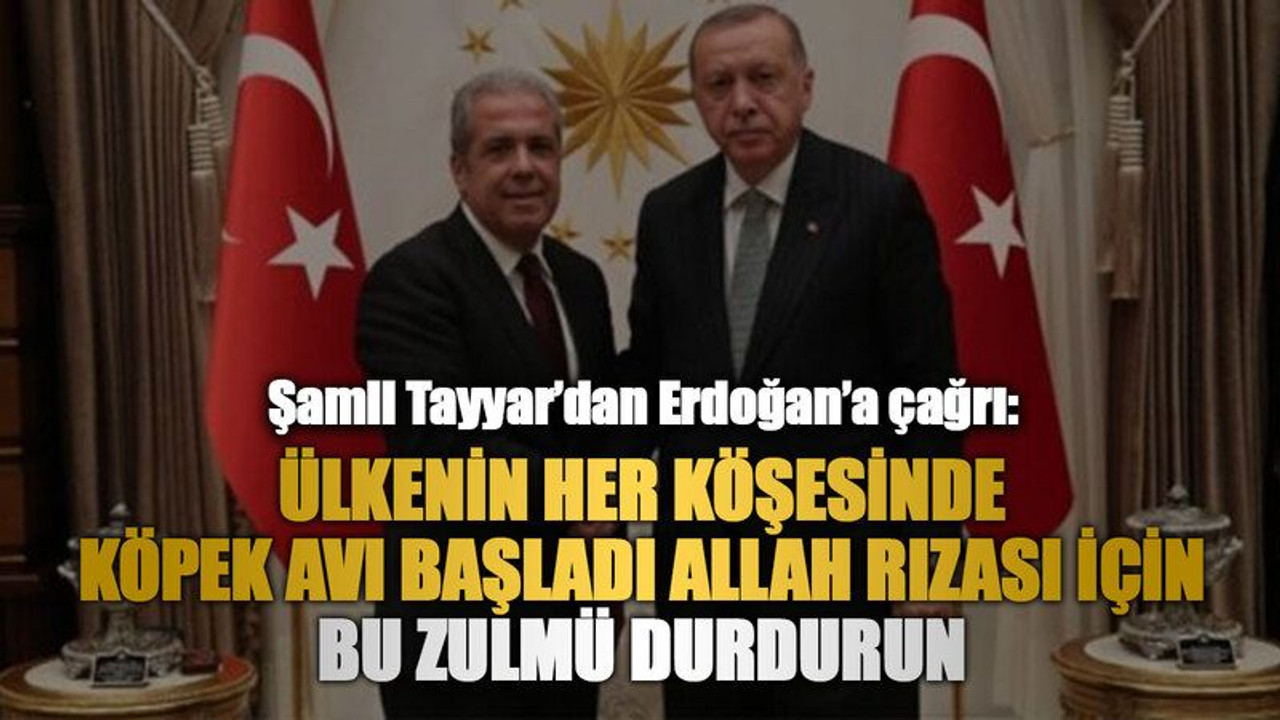 Şamil Tayyar’dan Erdoğan’a çağrı: Ülkenin her köşesinde köpek avı başladı Allah rızası için bu zulmü durdurun