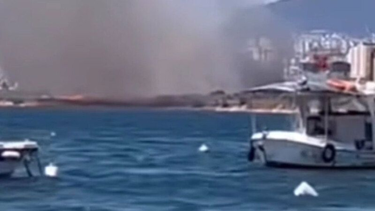 İstanbul’da ağaçlık alanda korkutan yangın