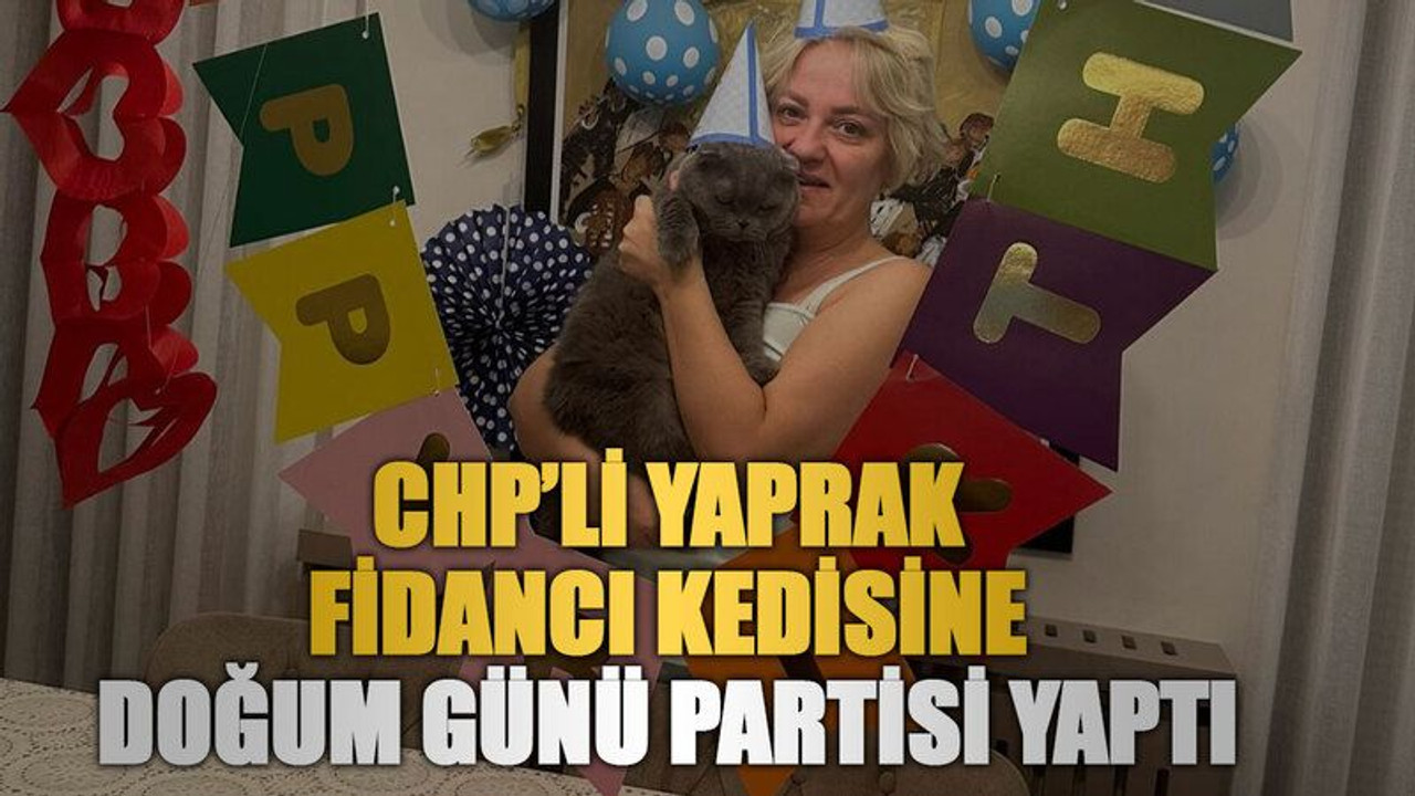 CHP’li Yaprak Fidancı kedisine doğum günü partisi yaptı