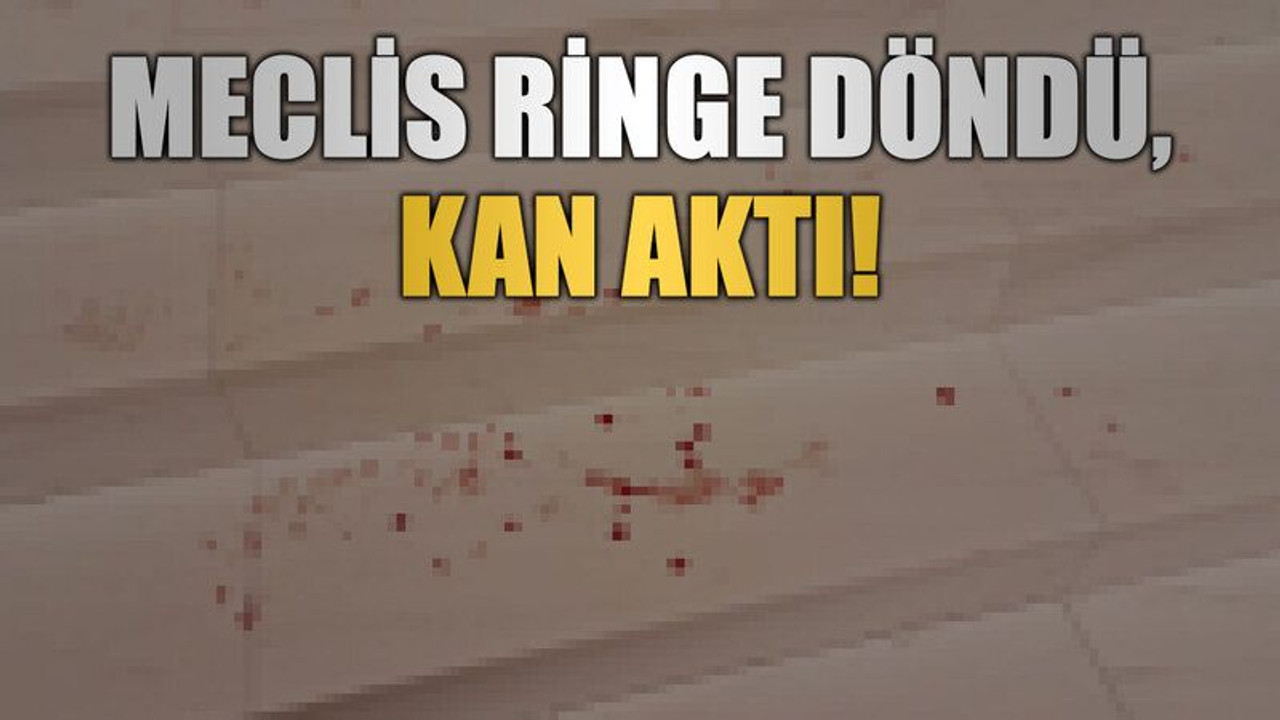 Meclis ringe döndü, kan aktı!
