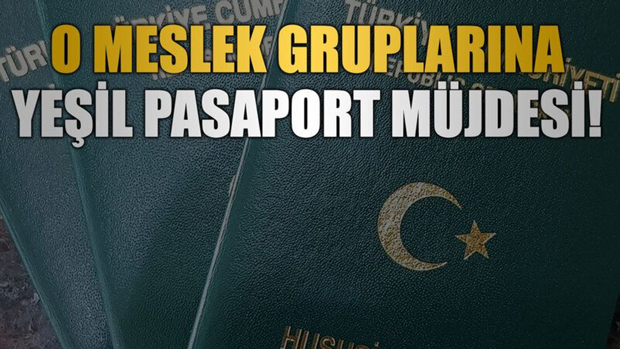 O meslek gruplarına yeşil pasaport müjdesi!