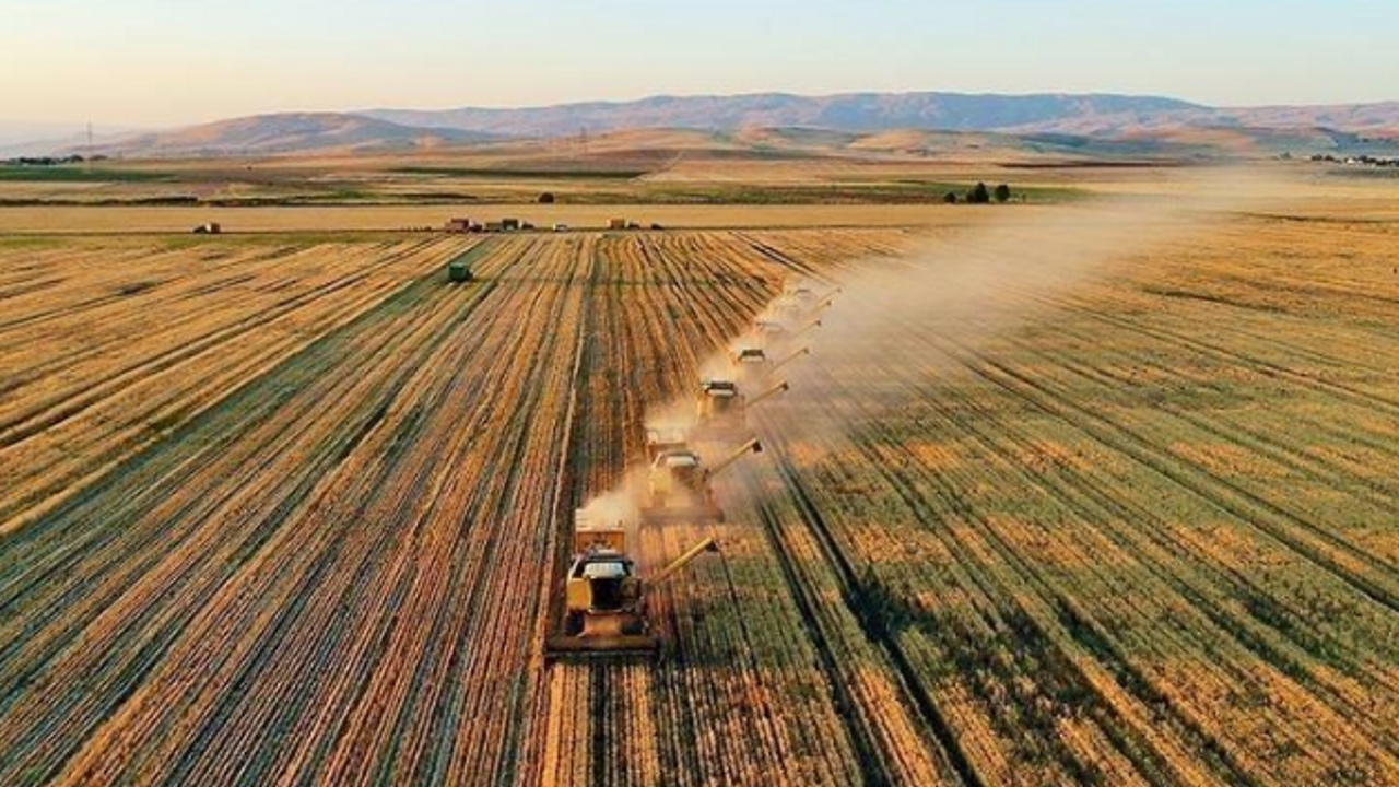 TGDF, tarım, gıda ve içecek sektörüne ilişkin derlediği veri sonucunu yayımlandı