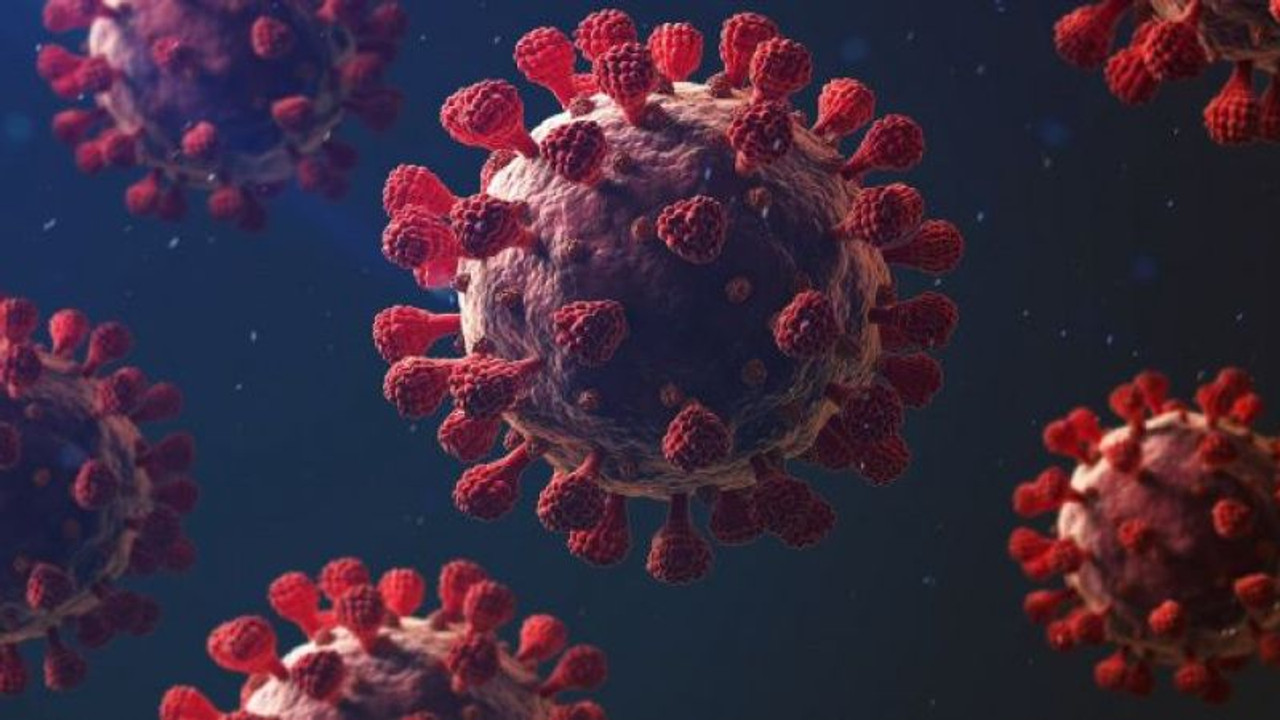 İstanbul Havalimanı'nda Maymun çiçeği önlemi