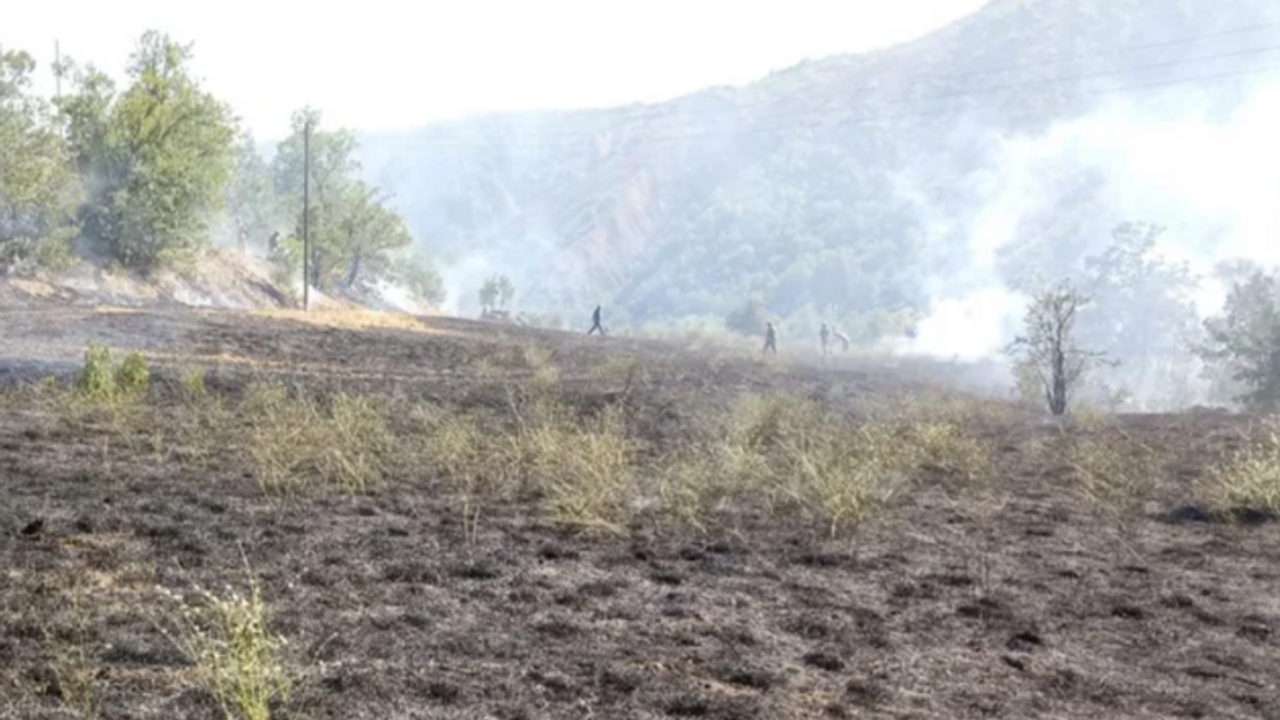 Tunceli'de orman yangın!