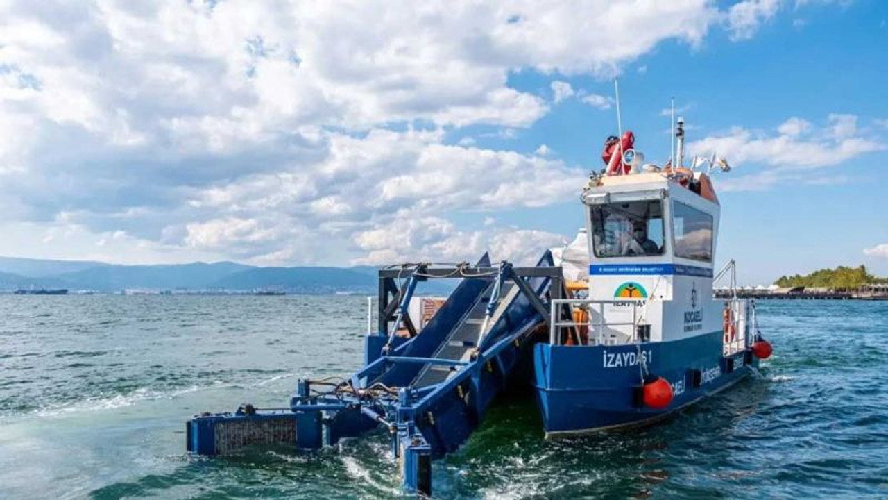 İzmit Körfezi'nde balık popülasyonu ve biyoçeşitlilik arttı