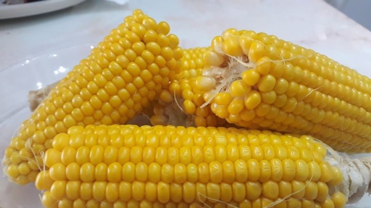 Kocaeli'de sokak satıcıları mısırı böyle haşlıyor! İşte sokak usulü mısır yapmanın yolu