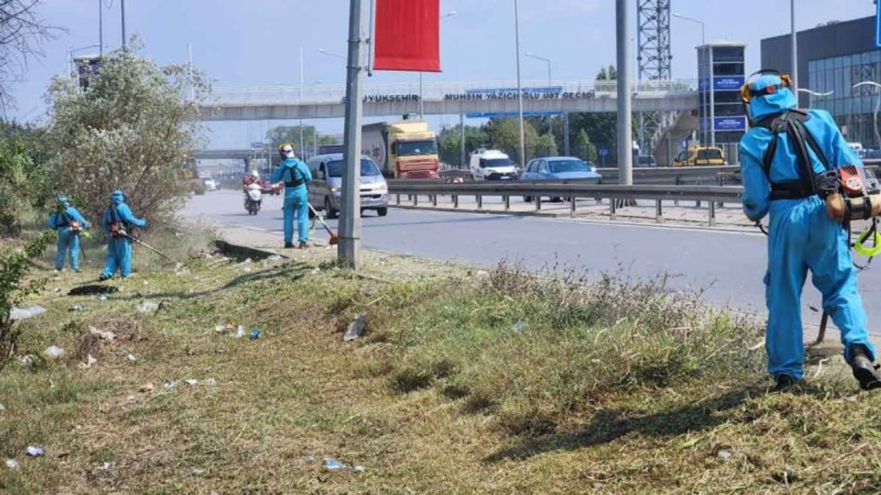 Kentin dört bir yanında sonbahar temizliği