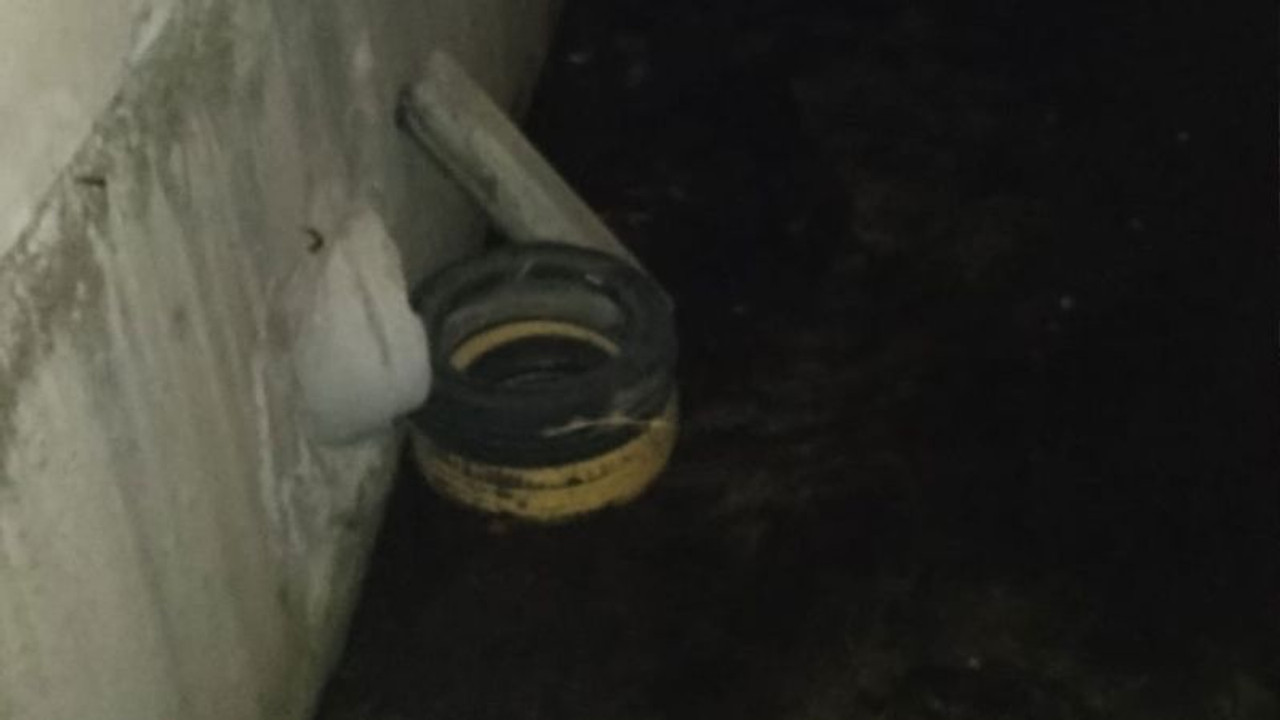 Derede mahsur kalan kediyi ne itfaiye ne belediye kurtarıyor!