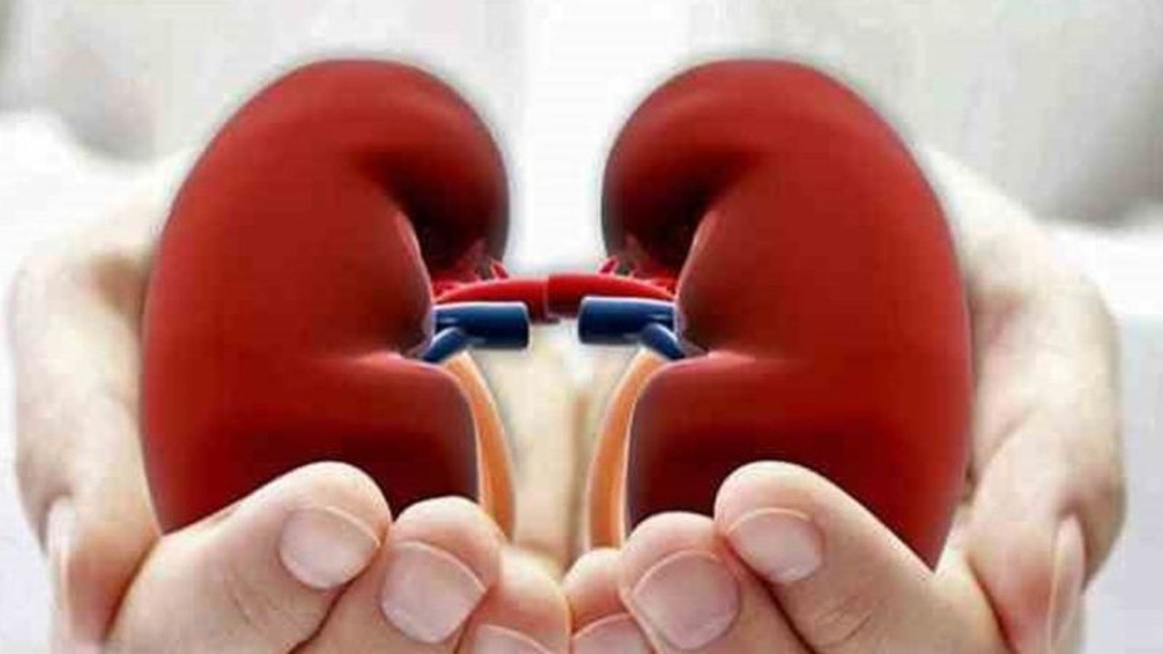 Uzman isimden uyarı: Yaş geçtikçe böbreklere dikkat!