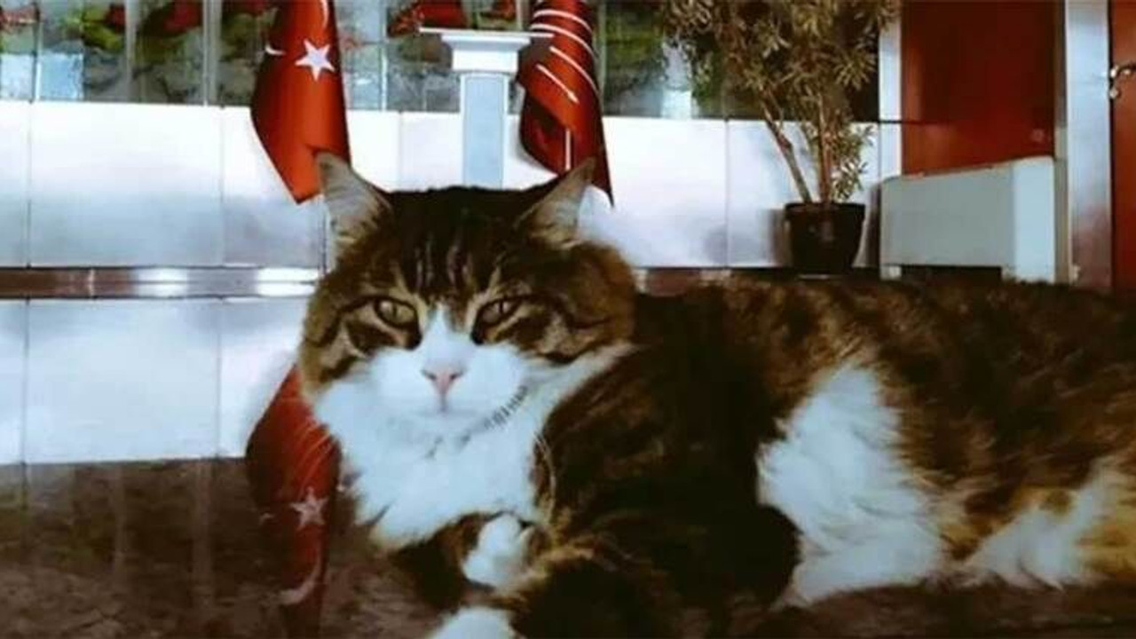 CHP’nin maskotuydu, Özgür Özel defnetti