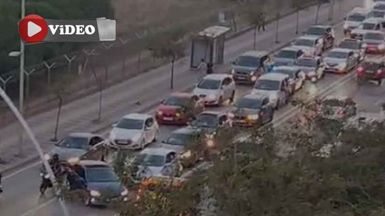Gebze’de polisler bile çaresiz kaldı
