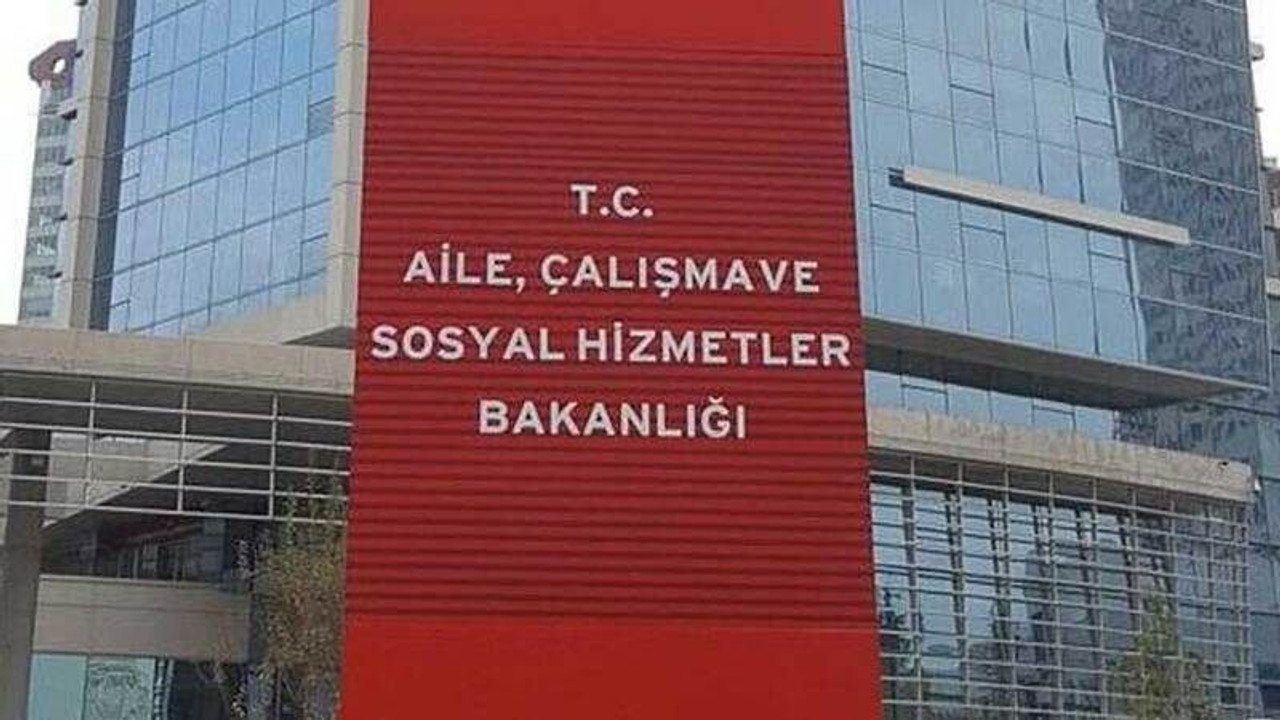 Devlet korumasında yetişen 729 genç kamu kurumlarına yerleştirildi