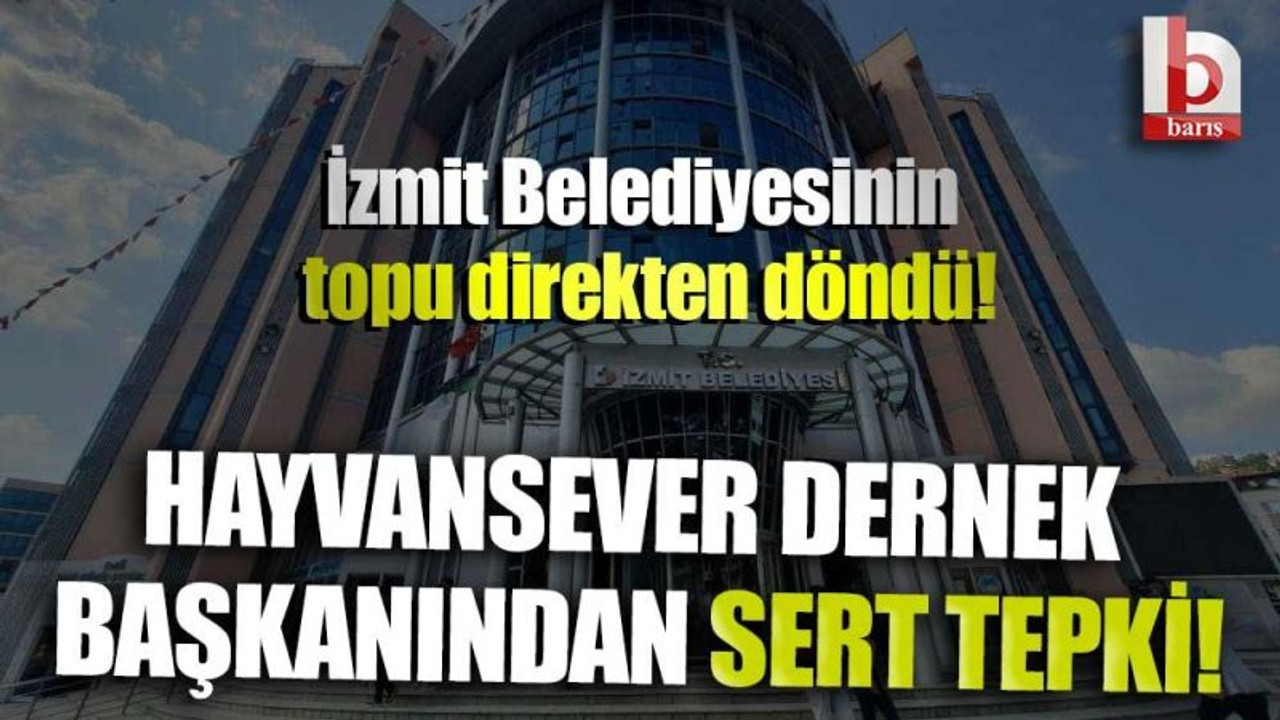 İzmit Belediyesinin topu direkten döndü! Hayvansever dernek başkanından sert tepki!