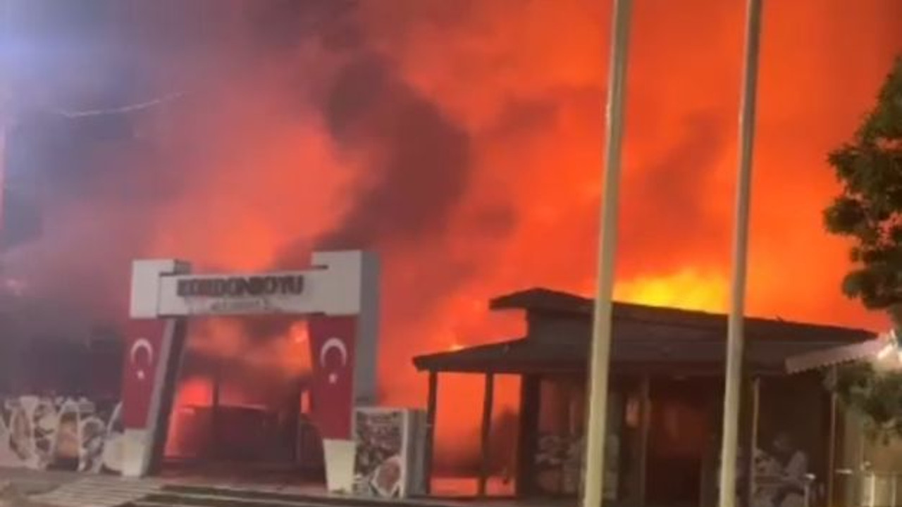 Hereke sahilinde büyük yangın!