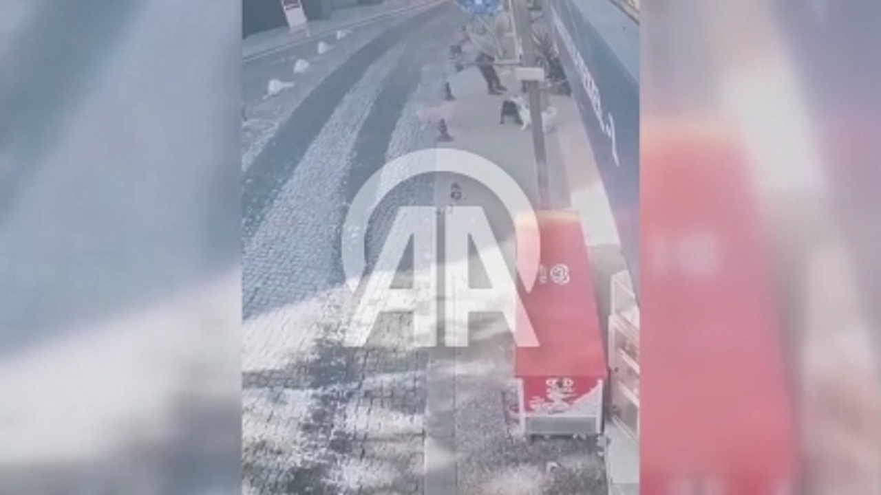 Kocaeli'de pitbull dehşeti!