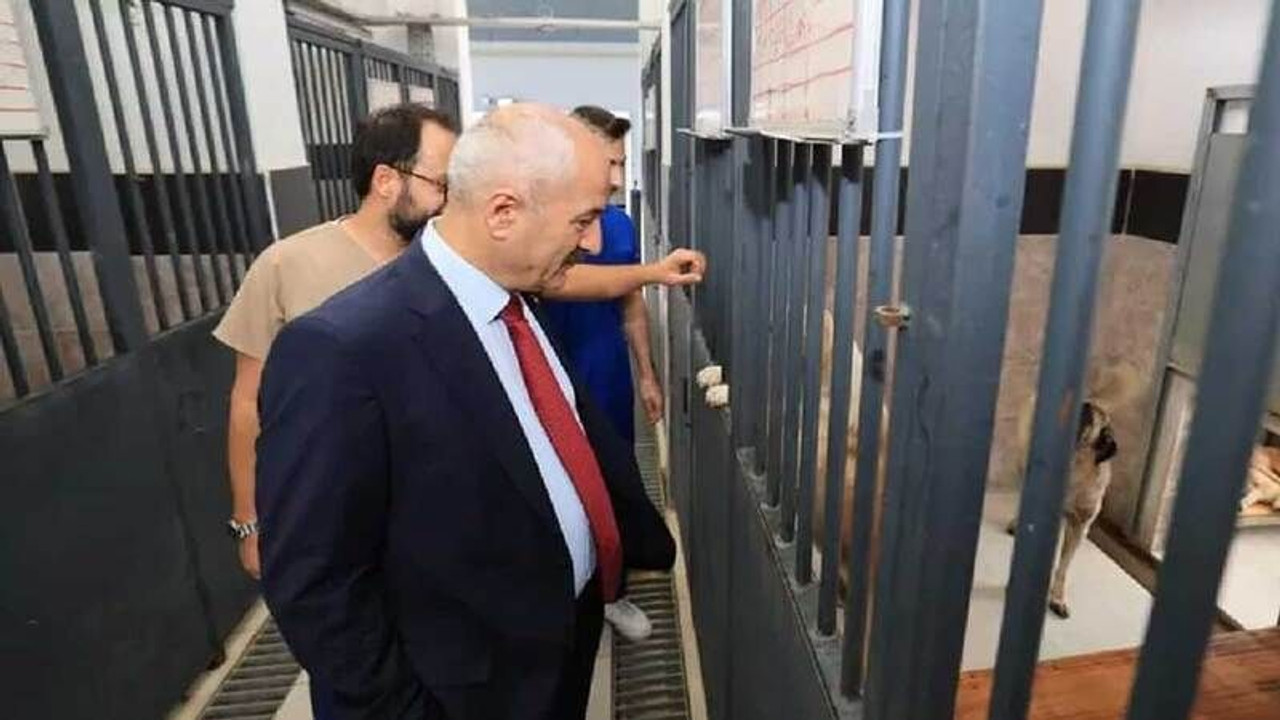 AKP’li Başkan dün katliamın yaşandığı barınağa gitmiş!