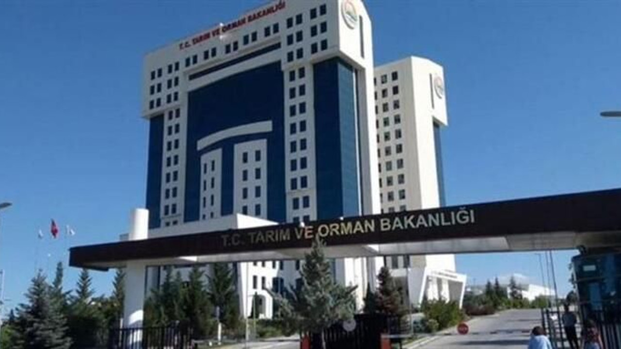 Komşu Sakarya’da eşek eti skandalı! 3 firma tespit edildi