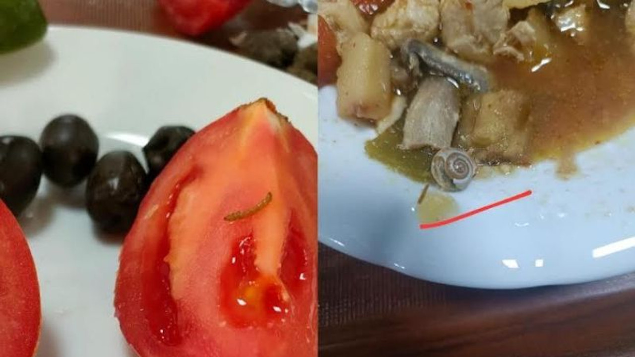 Kocaeli’de KYK yurdunda yemeklerden böcek çıkıyor!