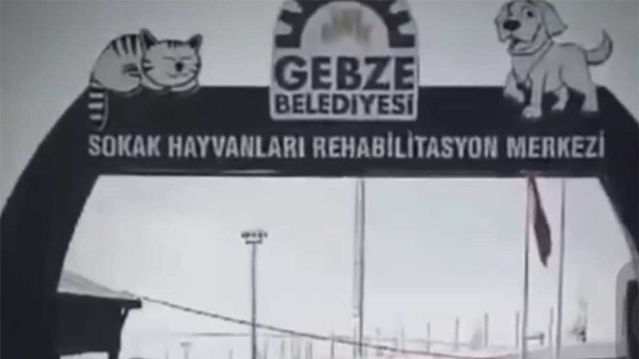 Gebze’deki barınağa jandarma eşliğinde hayvan sokuluyor!