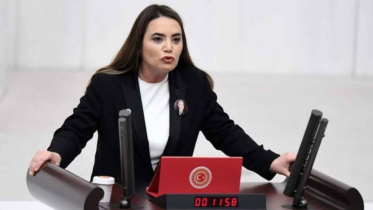 Türkeş'in kızından sert çıkış: Babamın resimlerini indir