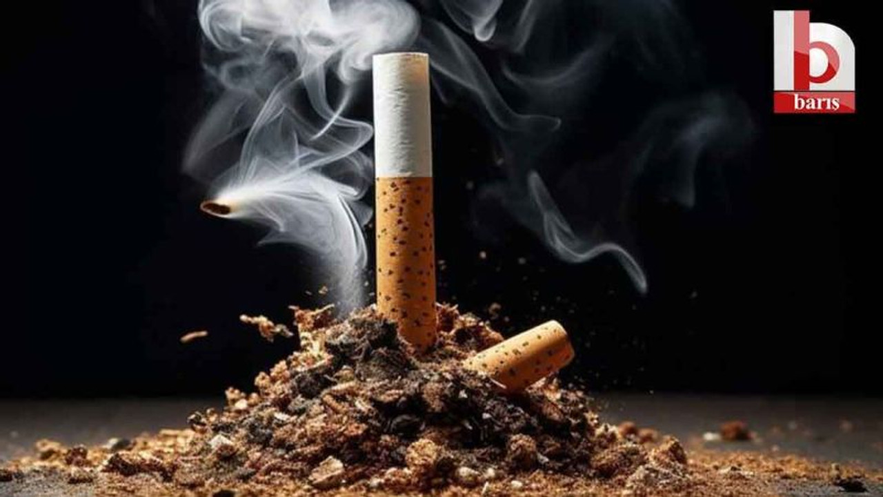 Sigara ve alkol zammı yolda!