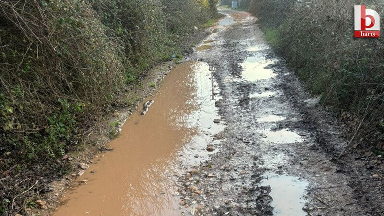 15 yılda 200 metre yolu yapamamışlar!