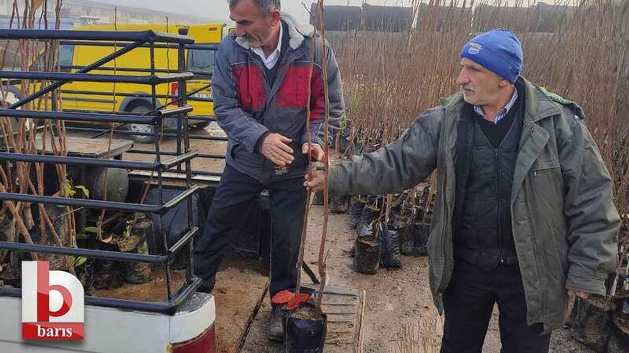 Büyükşehir’den yüzde 50 hibeli fidan desteği