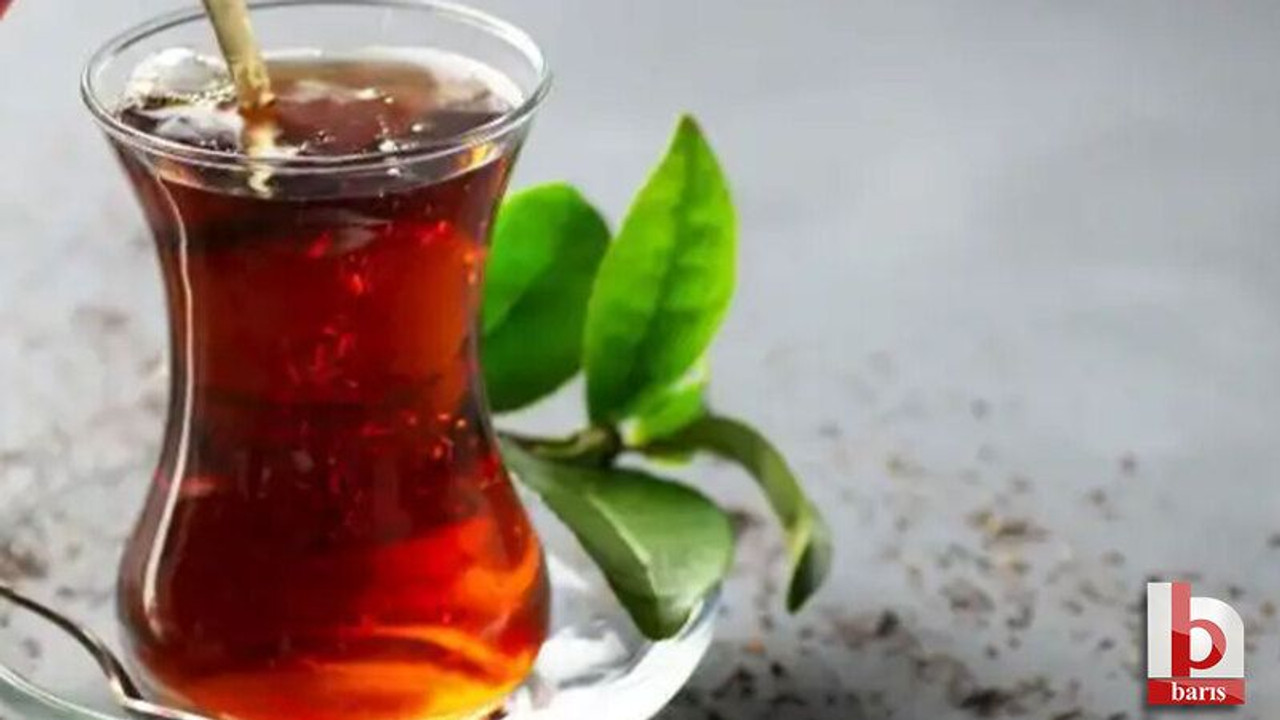 Türkiye'nin çay tercihi araştırıldı!