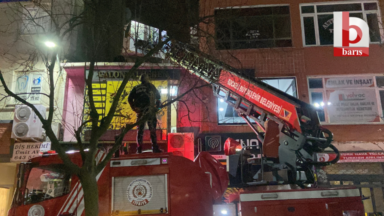 Kocaeli'de evden kaçıp çatıda mahsur kalan kediyi itfaiye kurtardı