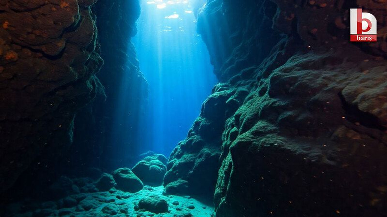 Kocaeli ve İstanbul plajları tehlikede mi? Karadeniz’in altında neden yaşam yok?