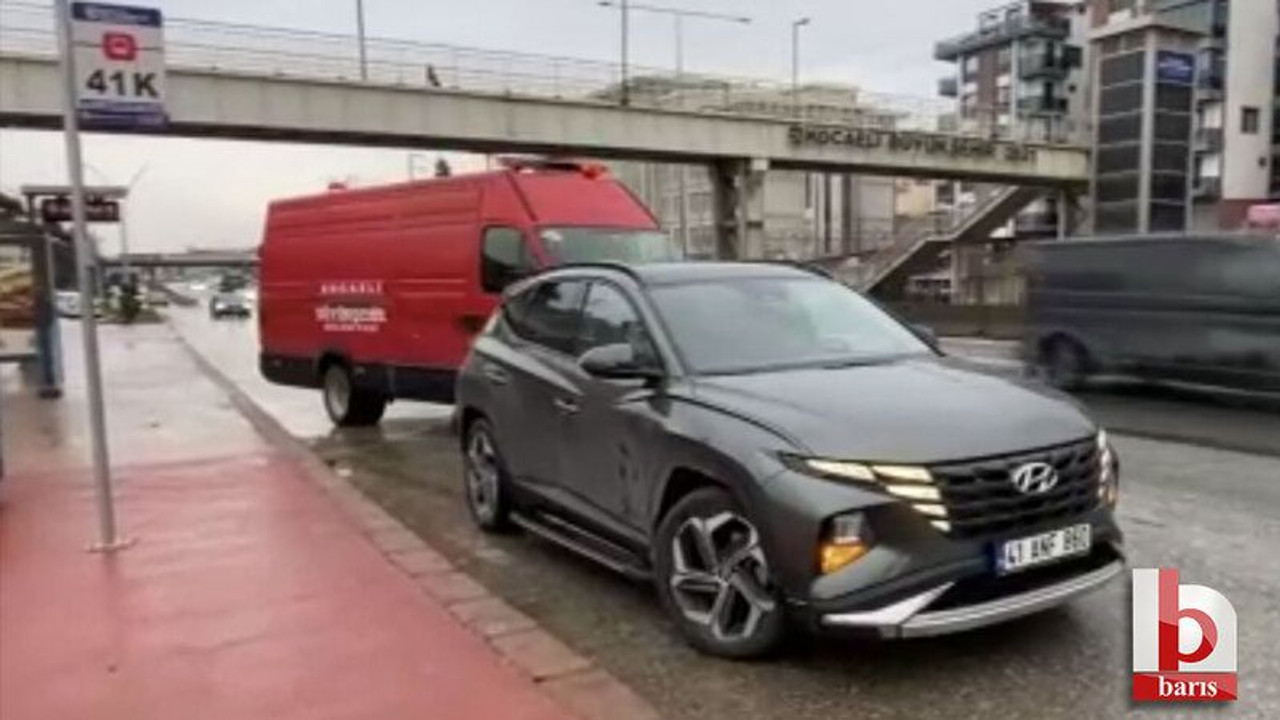 Kocaeli'de araç motoruna saklanan kedi ekipleri seferber etti