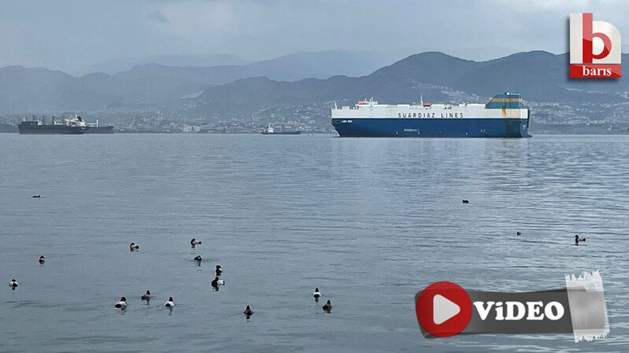 Dev yük gemileri İzmit Körfezi’nde