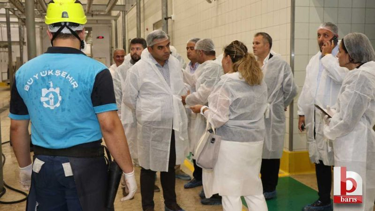 Büyükşehir Mezbahası modern ve hijyenik hizmet sunmaya devam ediyor