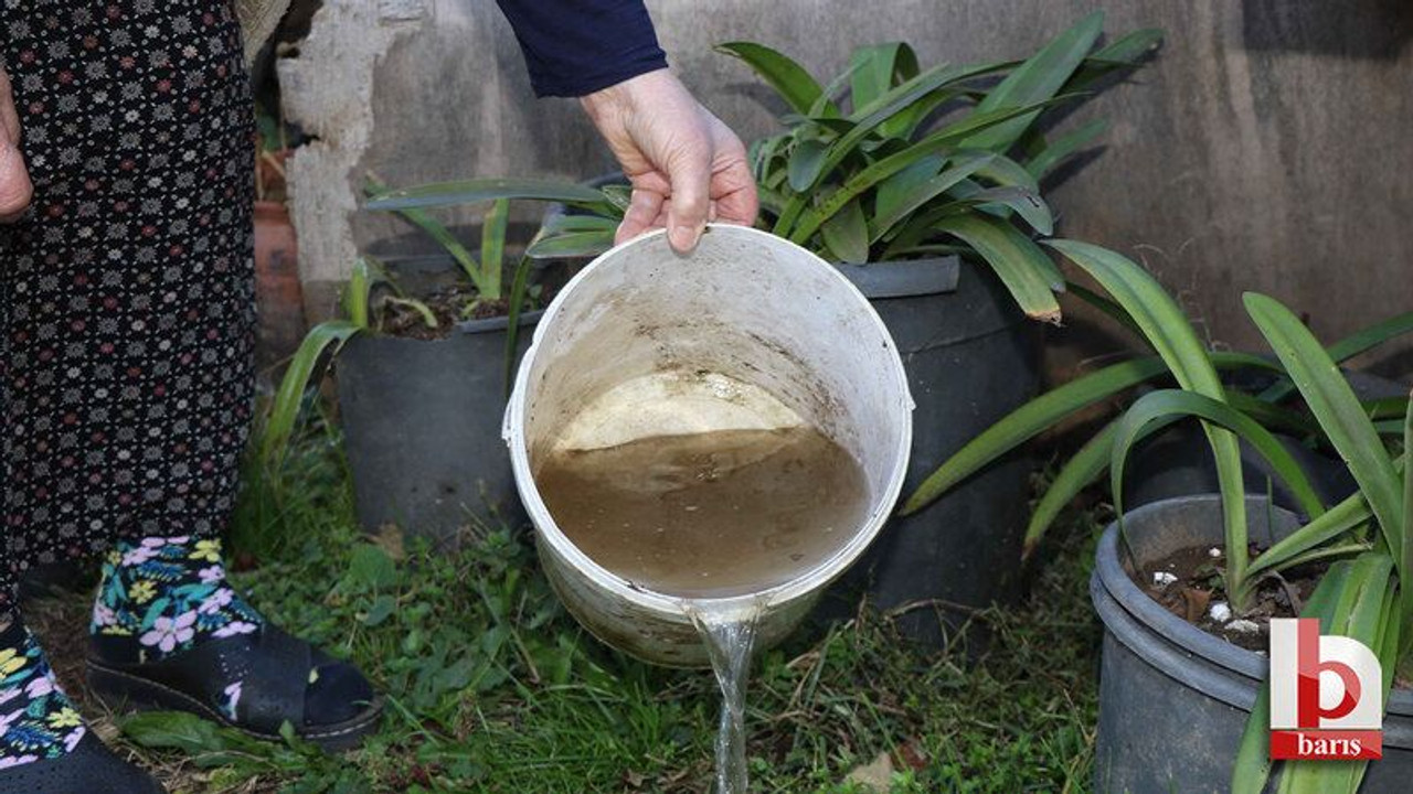 Kocaeli’de sineksiz bir yıl:1 milyon noktaya müdahale