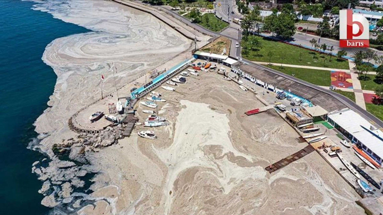 Marmara Denizi'ndeki müsilaj sebebiyle bakanlık 2 belediyeye ceza kesti!
