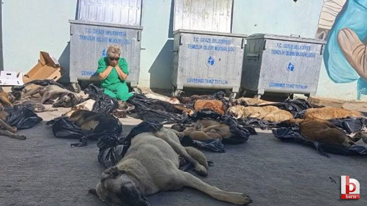 Gebze Belediyesinin yargılanmasını istiyorlar!