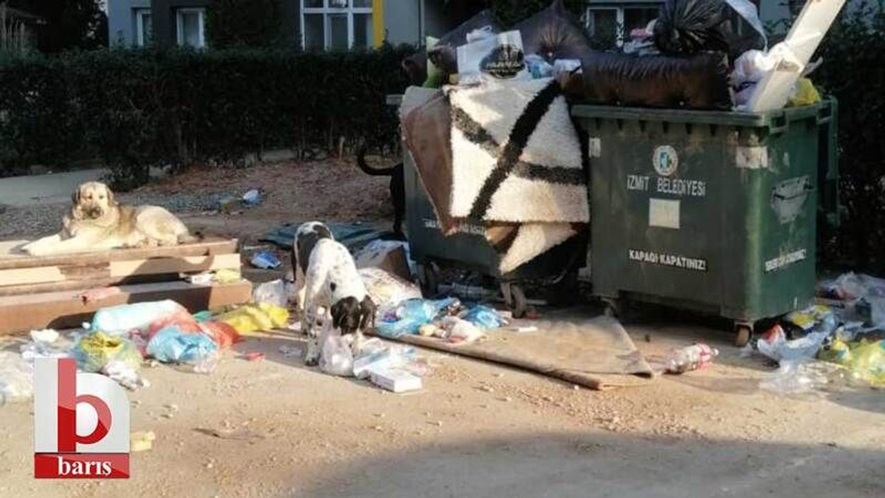 MHP’den fotoğraflı eleştiri! “İşte İzmit Belediyesinin hizmet özeti”