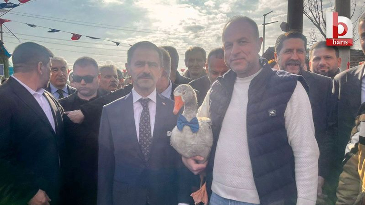 Kaz Bayramı’nın gözdesi papyonlu kaz oldu