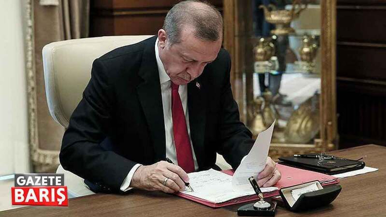 Erdoğan’a yeni başdanışman